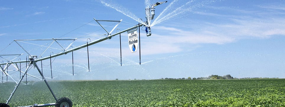 Reinke Pivots